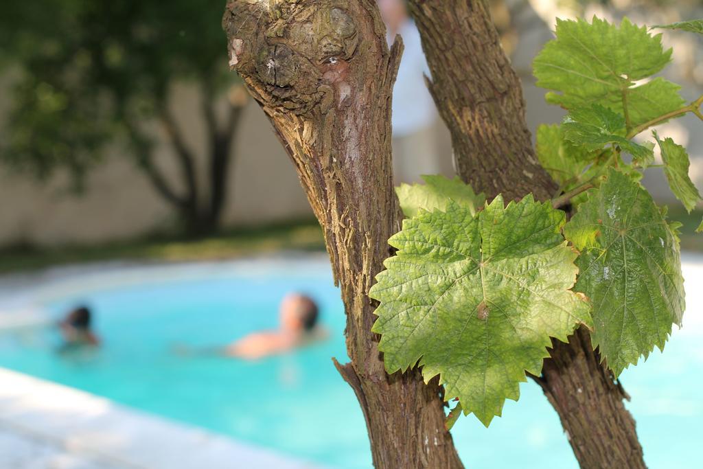 סן קטאלדו B&B Villa Romina מראה חיצוני תמונה